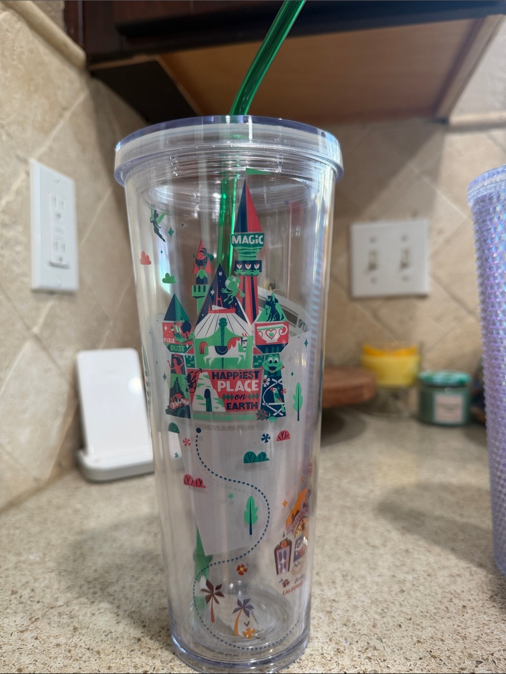 Starbucks Disneyland Resort Tumbler with Green Straw